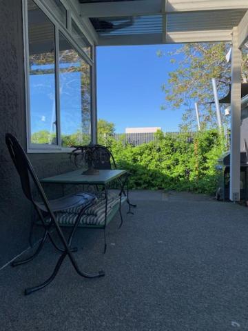 Walnut House Apartman Havelock North Kültér fotó